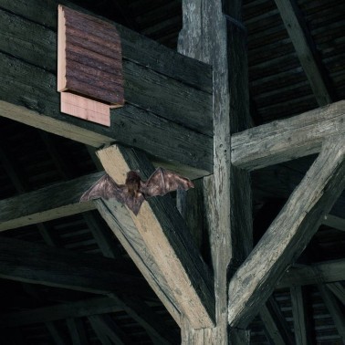 Casa per Pipistrelli in Legno | Rifugio Naturale e Nido | BirdGard Iberia