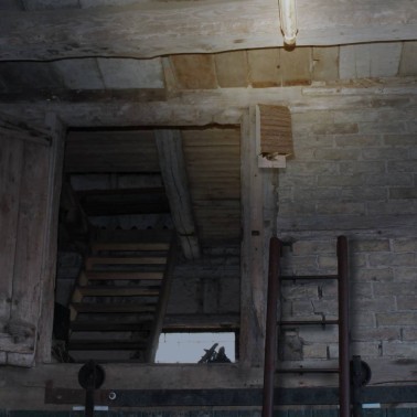 Casa per Pipistrelli in Legno | Rifugio Naturale e Nido | BirdGard Iberia