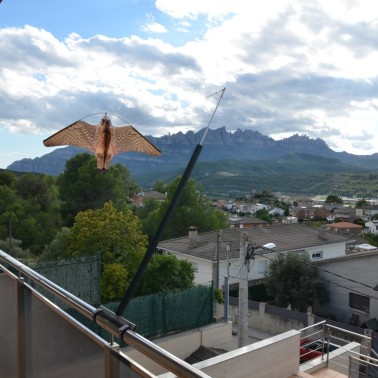 Falco Finto per Balcone - BirdGard Iberia - Italia